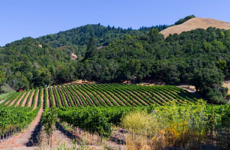 Best Shower Remodeling pros in Petaluma, CA