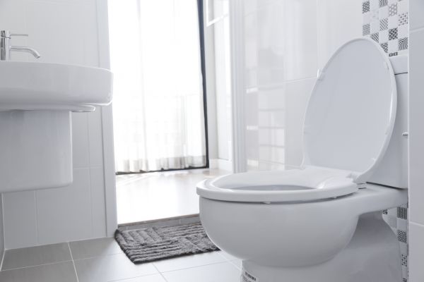 Cost of Toilet Relocation in Novato